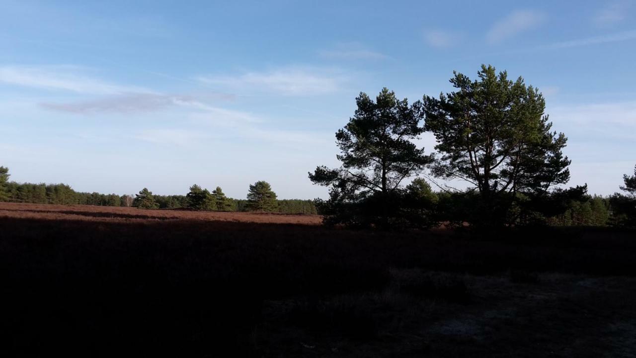 Ferienhaeuser Pannier I Und Oder II Gartow Bagian luar foto